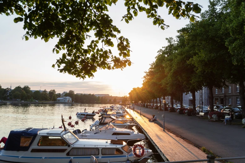 boats parked along the edge of a river near trees