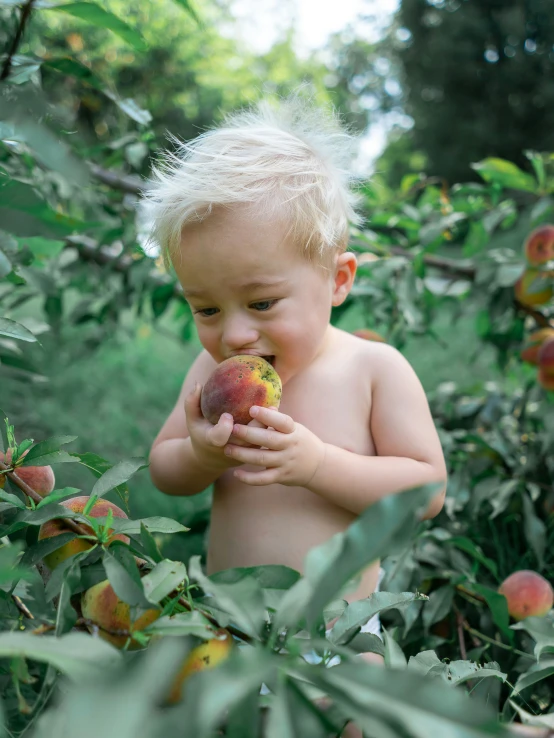 a young blond boy is in some fruit trees