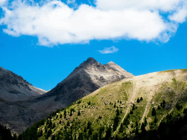 a large mountain range covered with green vegetation