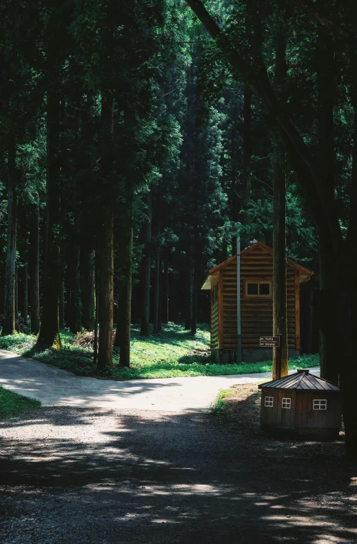 a small wooden cabin nestled in the woods