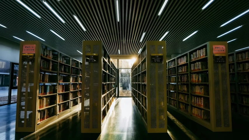 a row of bookshelves that have a hallway in front