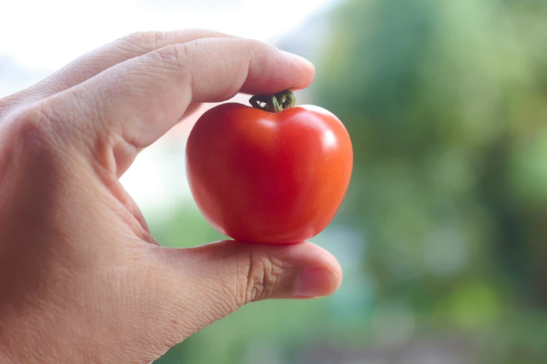 there is a small tomato being held in a persons hand