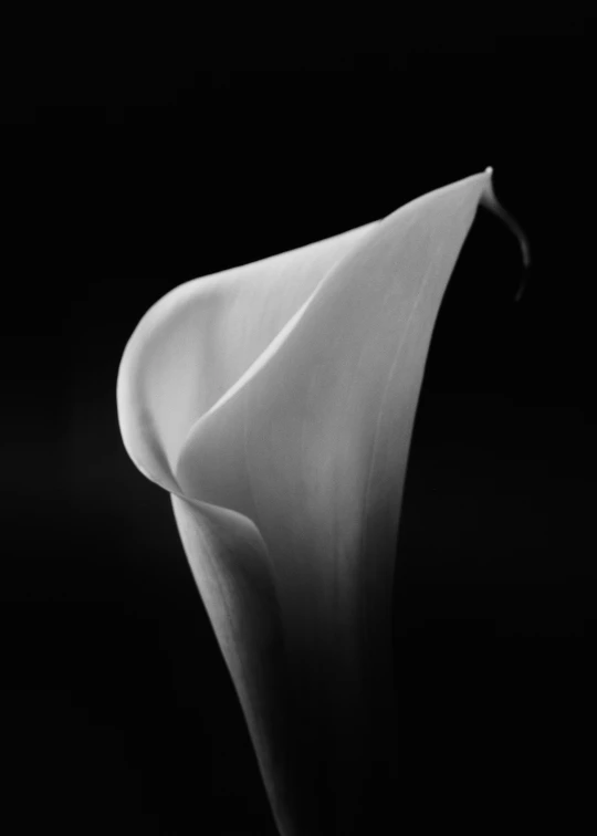 a single white vase sitting on top of a table