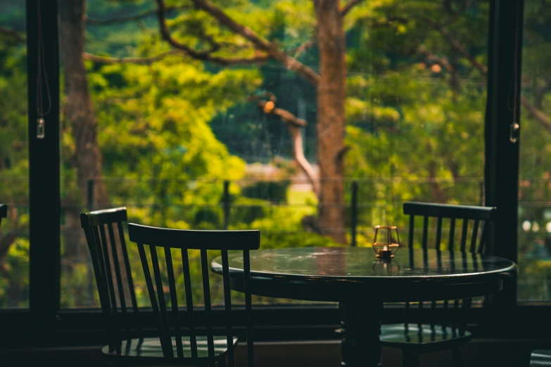 a table sitting next to a window and looking out at a forest