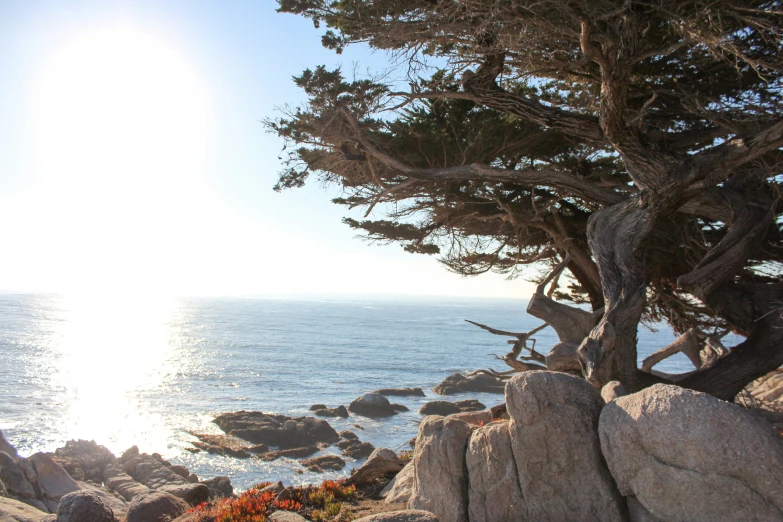 a view of the ocean from high on the cliff