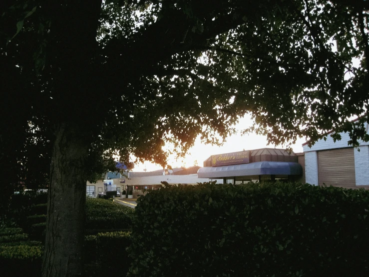 a twin bed sits in the shade of a tree