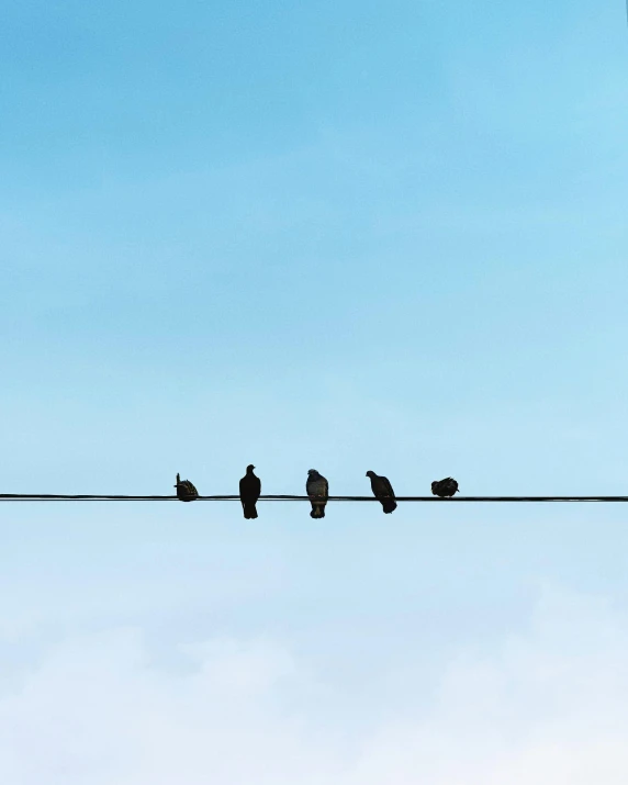 several birds sitting on a wire with one flying away