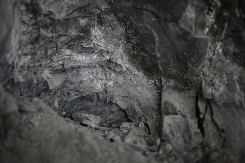 a black and white image of rock that looks like the surface of a cave