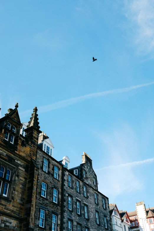 a bird flying over an old building with blue sky