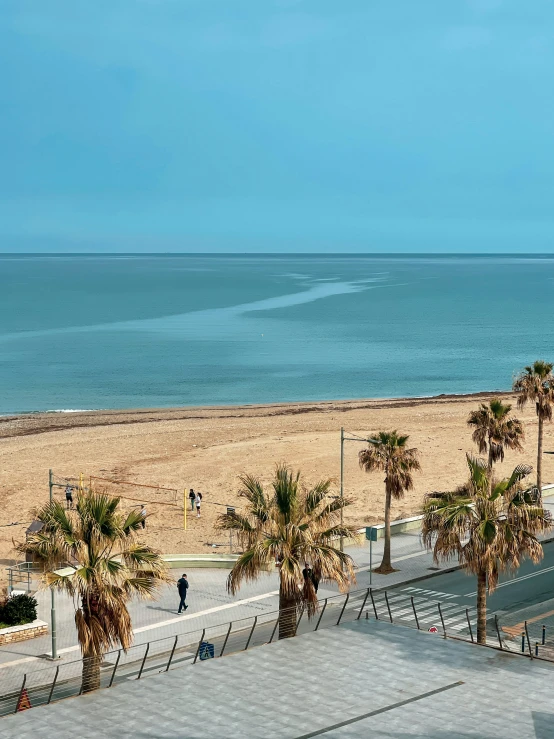 a beach with palm trees in the foreground and the ocean