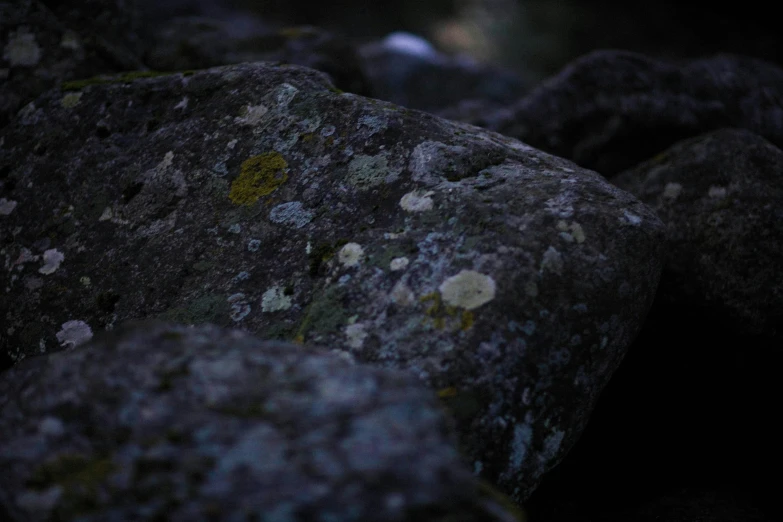 an old rock covered in lichen and moss