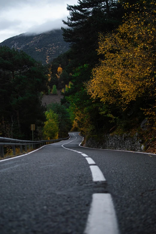 an empty road with some white lines on it