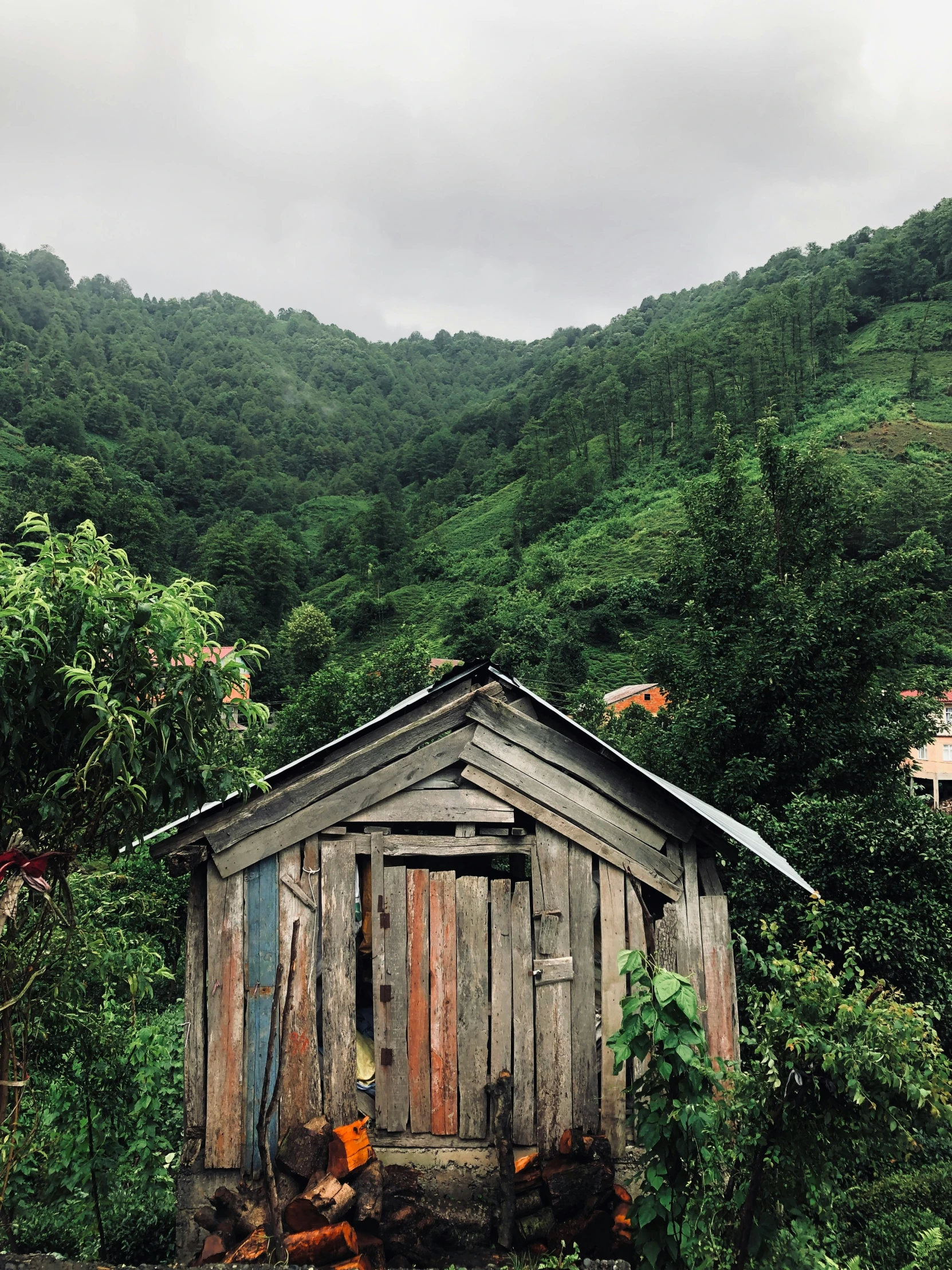 a outhouse with a mountain in the back