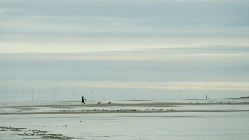 a man and dog walking through a large expanse of water