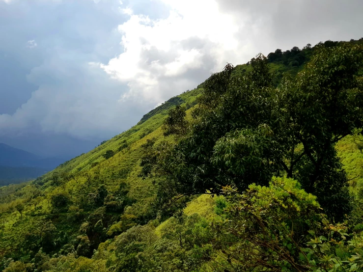 a view of mountains from the trail up a hill