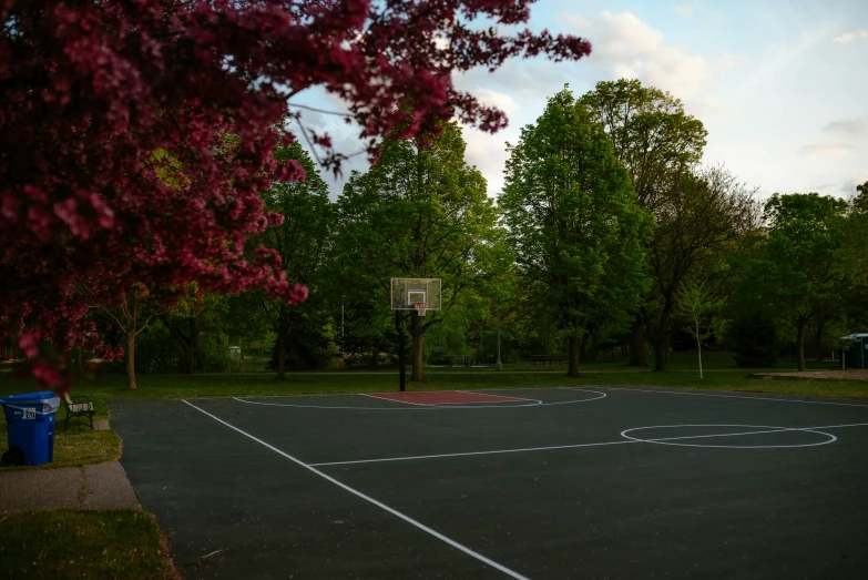 an empty basketball court is seen through the leaves