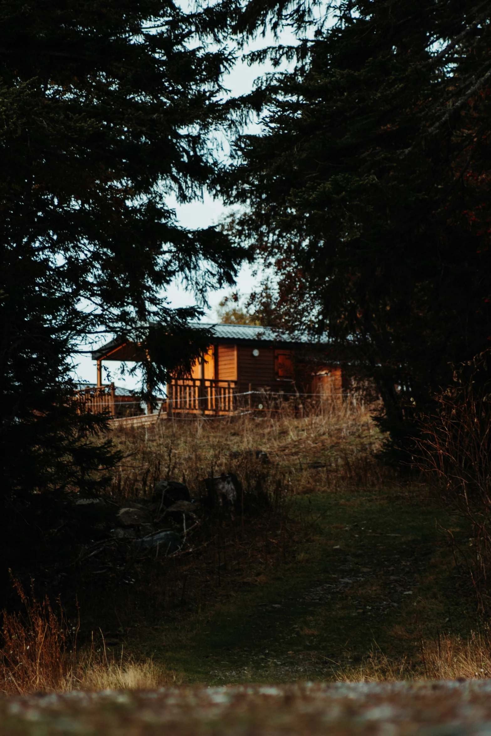 a small cabin in a wooded area