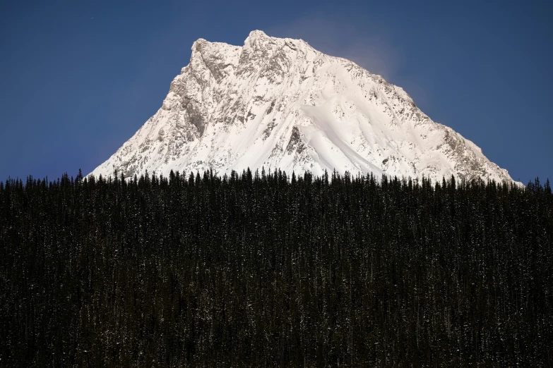 a mountain is in the distance with a forest below it