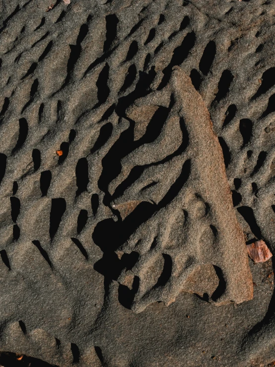 a person standing on a beach next to sand