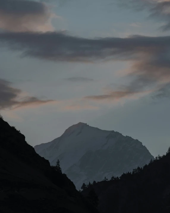 the silhouette of trees is against a hazy mountain