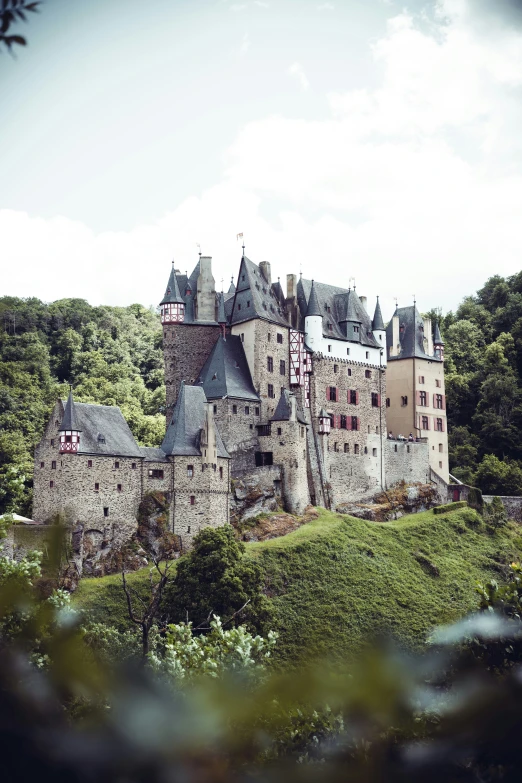 a castle surrounded by tall trees on a sunny day