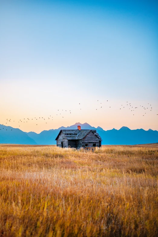 a old cabin sitting on the side of a field