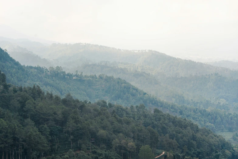 a large mountain covered in trees sitting under a fog