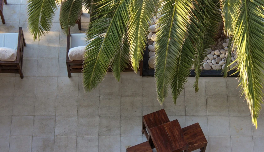 a wooden table surrounded by tropical plants and rocks