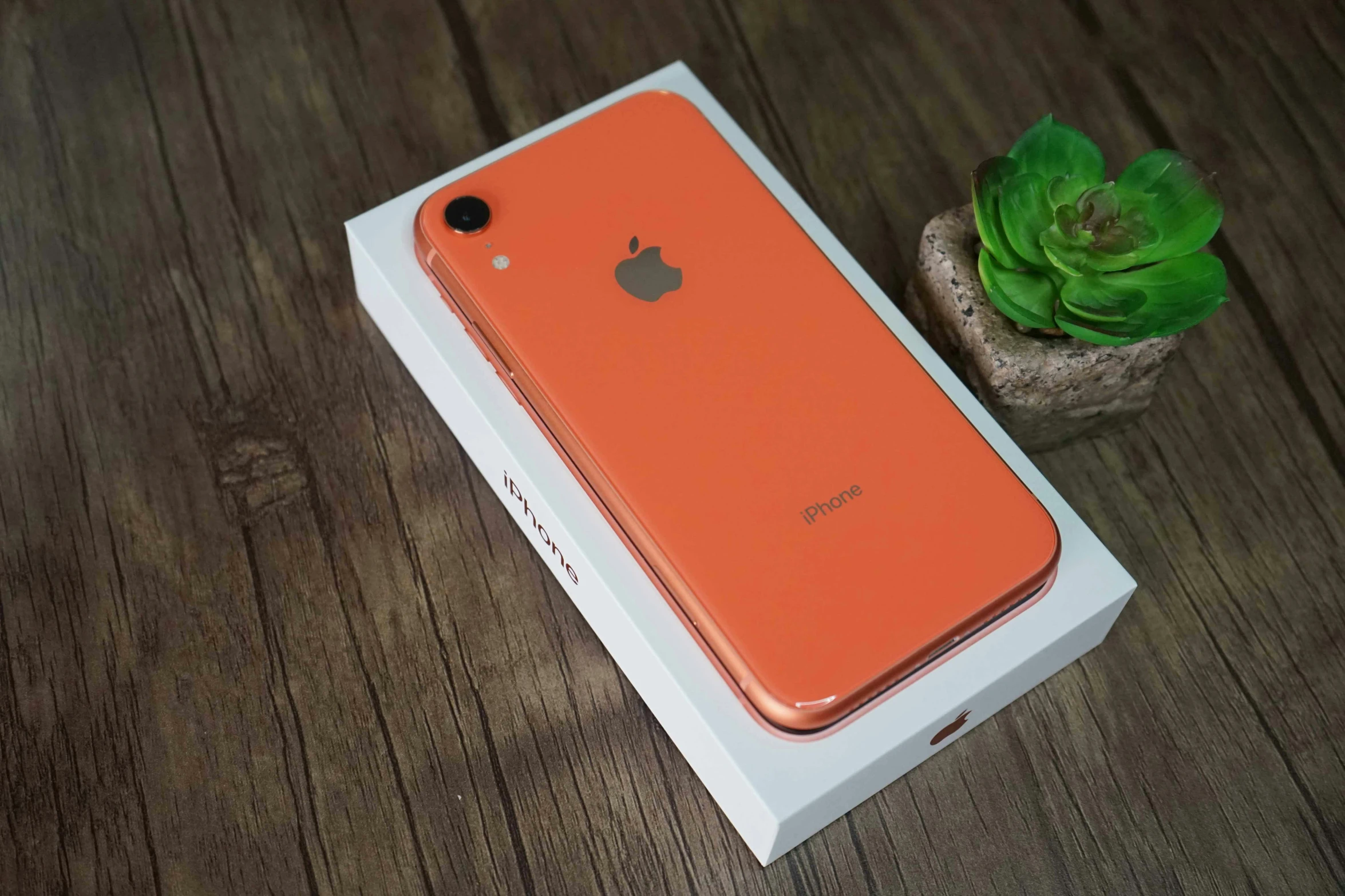 an apple phone is next to a green plant
