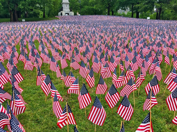 several rows of flags placed in the grass