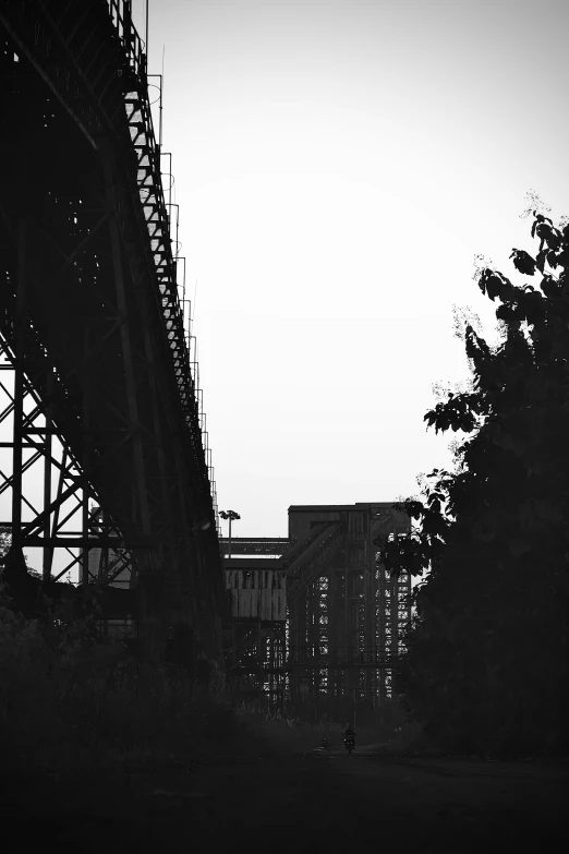 the man is looking up to the sky under the bridge