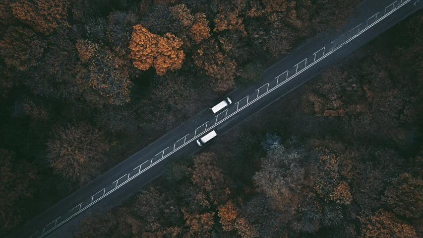 a white truck driving along side of a forest