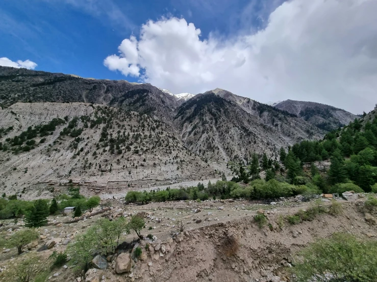 an image of a mountain range with trees in the foreground