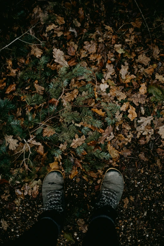 a person is standing in the middle of leaves