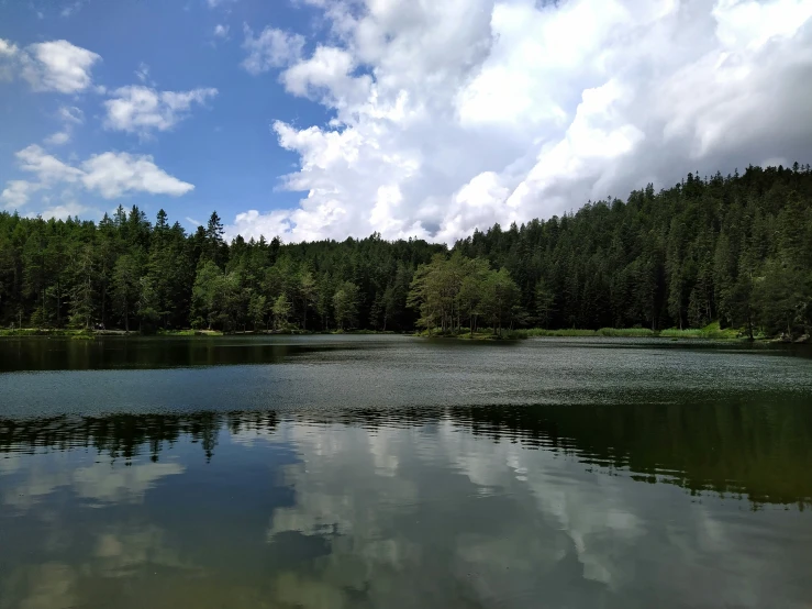 an image of a lake surrounded by trees