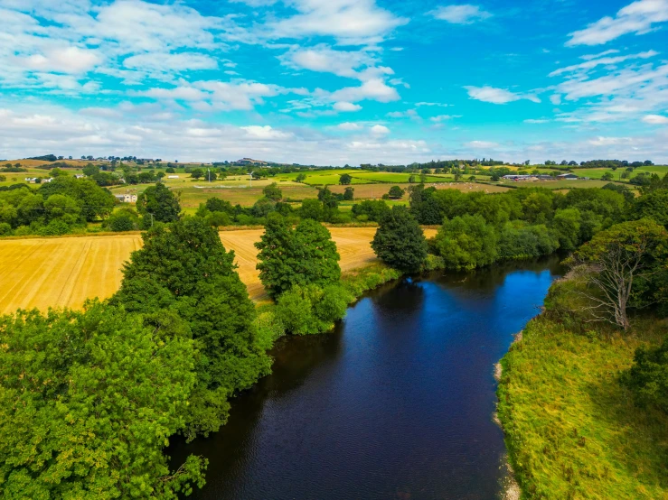 a river flows through a lush green field