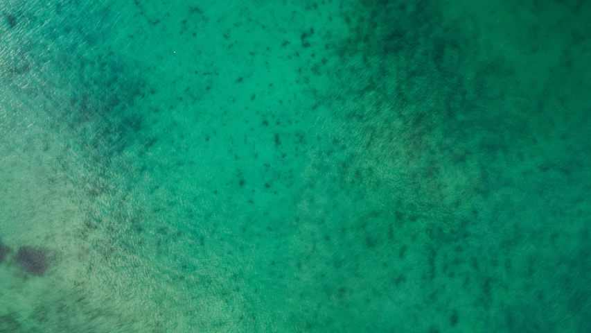 an aerial view of a green ocean filled with boats