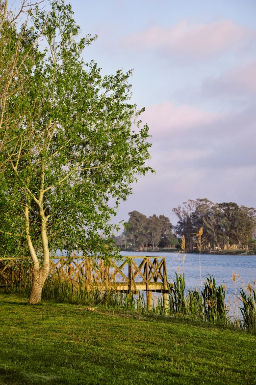 a large body of water that is near grass