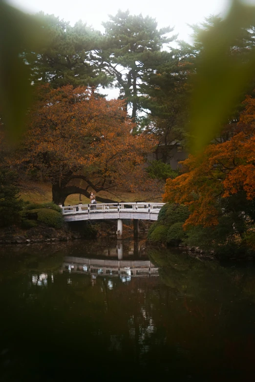 a small bridge in the middle of a lake