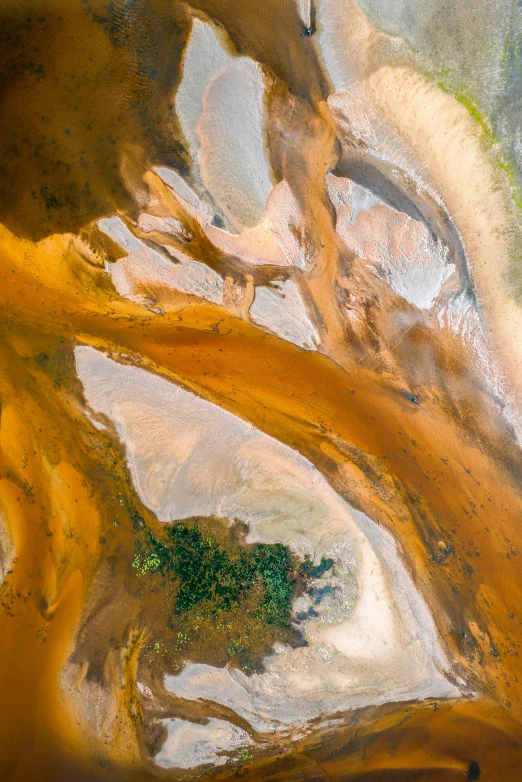 a bird's eye view of trees and land