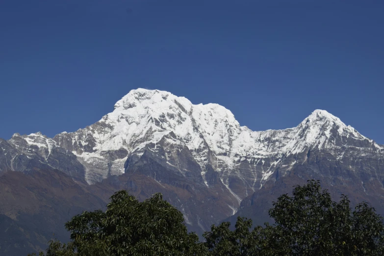 a large snow covered mountain with trees and nches below it