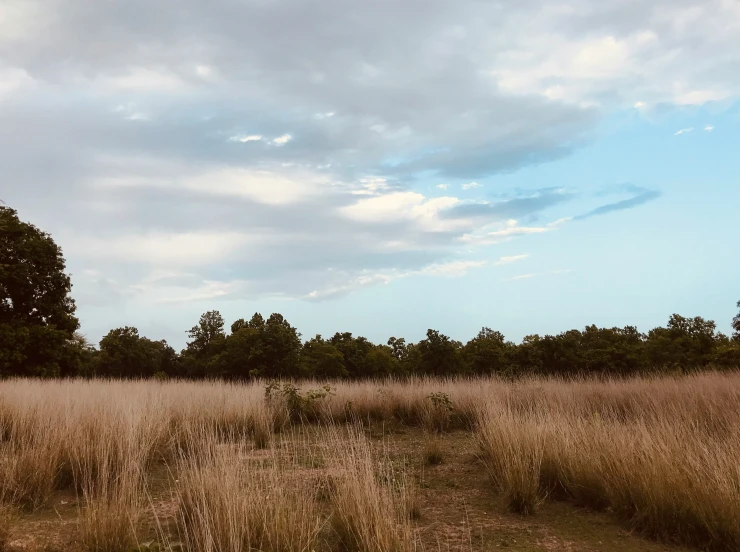 a view of a cloudy sky above a brown field