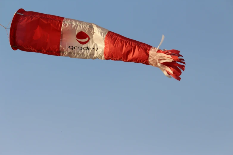 an open kite flies high in the sky