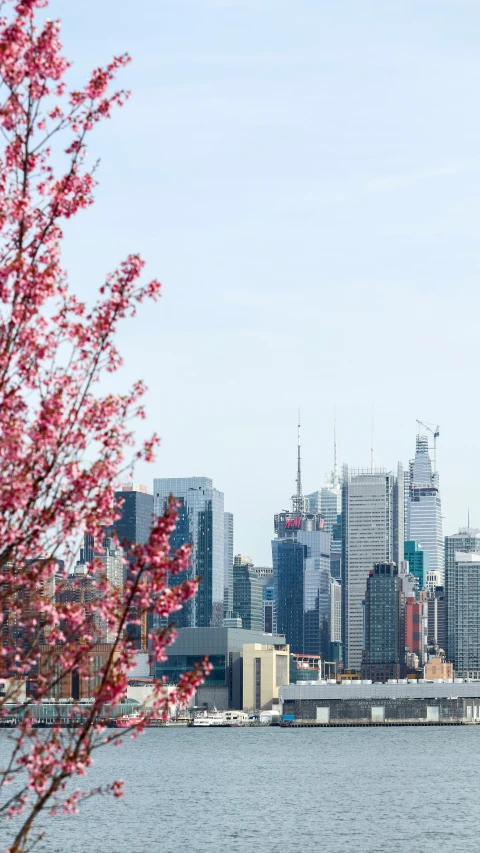 the city skyline has buildings and a river in it