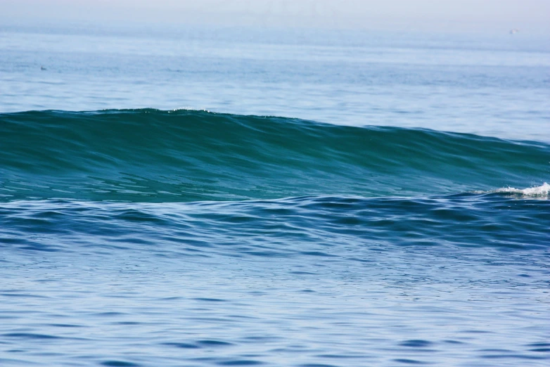 a surfer on a board riding the waves in a blue sea