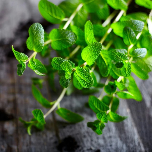 green leaves sitting on top of a wooden table