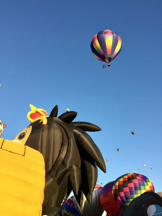 a  air balloon festival with large balloons and people flying above