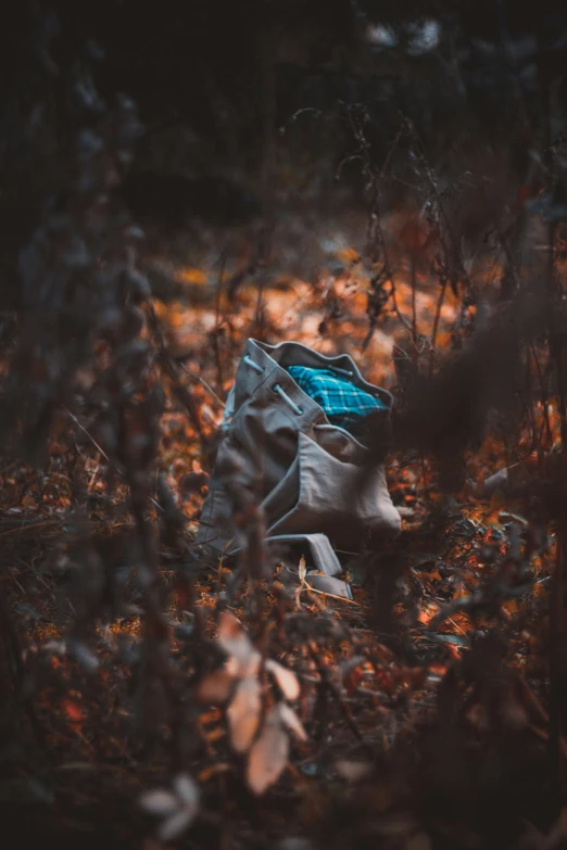 an odd looking blue and gray bag is in the middle of the woods