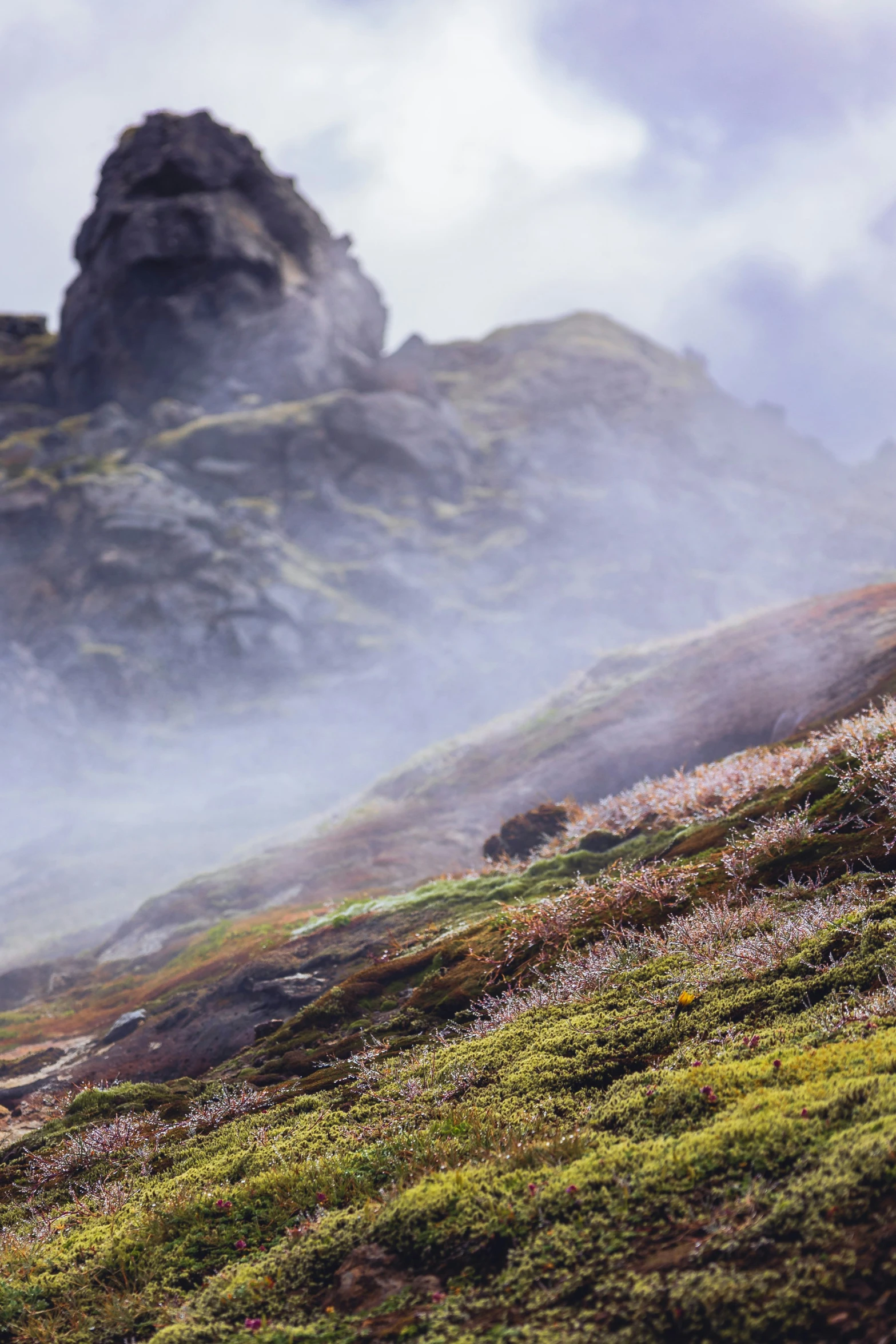 sheep grazing on the grass in front of a rock cliff