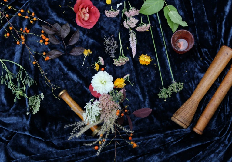 various plants and flowers sitting on top of a blanket